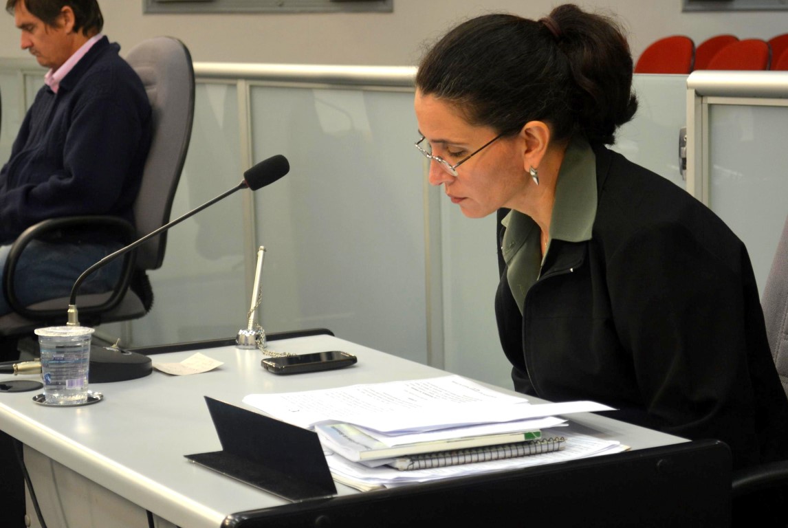 “Desenvolve São Paulo”: vereadora pede informações detalhadas sobre obras financiadas